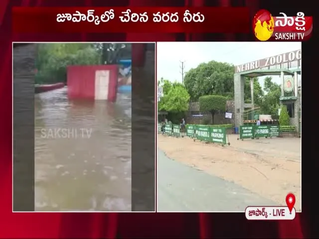 Hyderabad: Nehru Zoological Park Closed Due To Heavy Rains