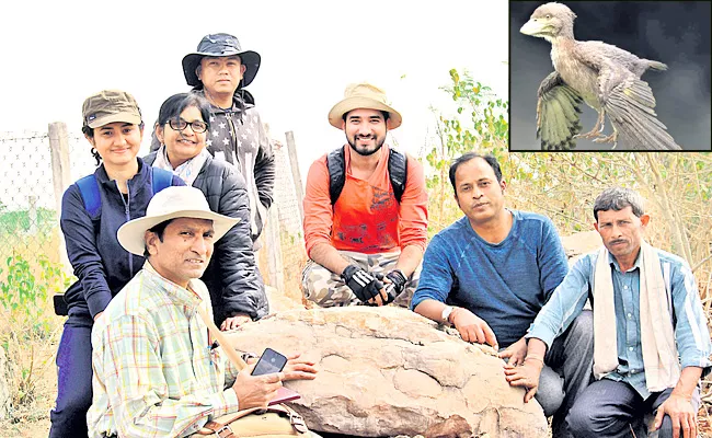 Scientists Identifying Dinosaurs Evolution  - Sakshi