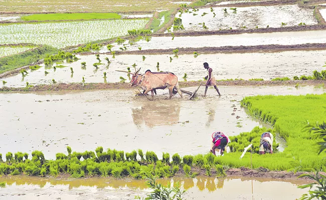 Andhra Pradesh Govt Support To Tenant farmers  - Sakshi