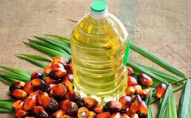 India Palm Oil Imports Rise Marginally To 5,90,921 Tonnes In June This Year - Sakshi