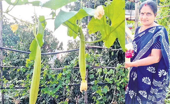 Sagubadi: Visakhapatnam Radha Rani Agarwal Wonderful Terrace Garden - Sakshi