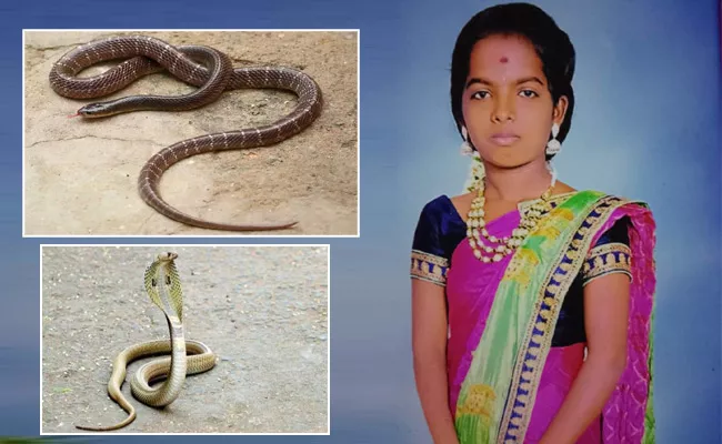 Snake Bite Student Died In Nandyala - Sakshi