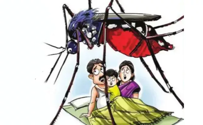 Dengue Cases in the Joint Anantapur District - Sakshi