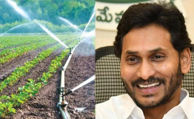 Andhra Pradesh Tops in micro-irrigation - Sakshi