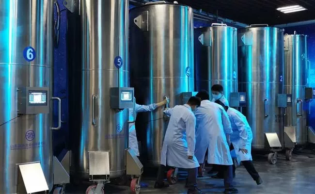 Cryonics 3: Technology Of Cryonics Starts After Humans Death Freeze Body - Sakshi