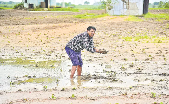 Crops washed away by heavy rains and floods all over Telangana - Sakshi