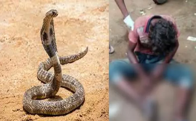 Health Condition Of Youth Is Critical Due To Snake Bite - Sakshi