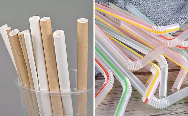 Single Use Plastic Ban: FMCG Agro and Food Cos switch to Paper straws - Sakshi