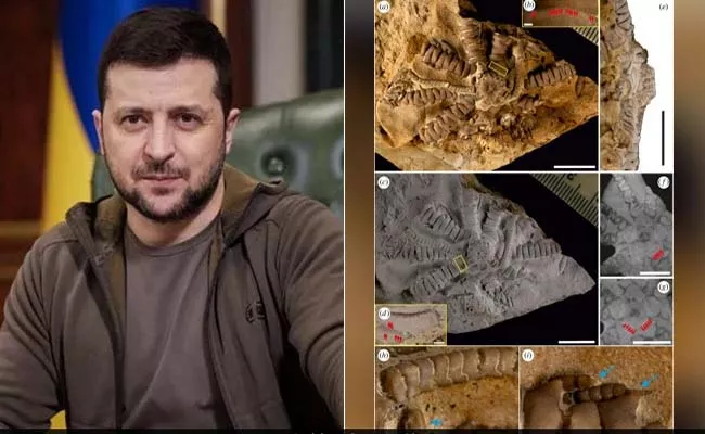 Polish Palaeontologists Zelensky Named150 Million Year Old Fossil  - Sakshi