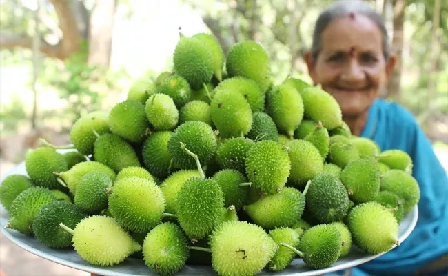 Know Many Health Benefits Of Spiny Gourd In Telugu - Sakshi