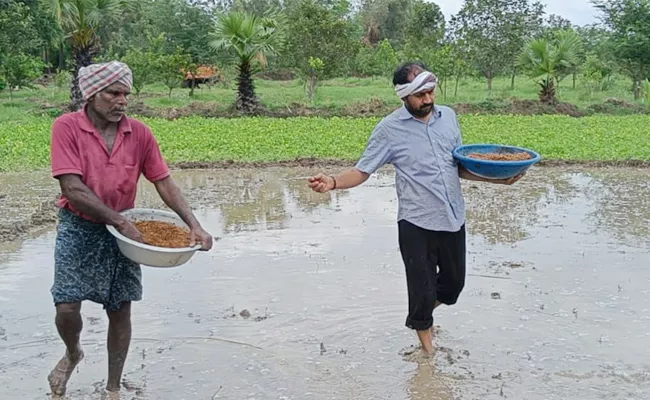 Mangalagiri MLA Alla Ramakrishna Reddy Farming At His Agricultural Land - Sakshi