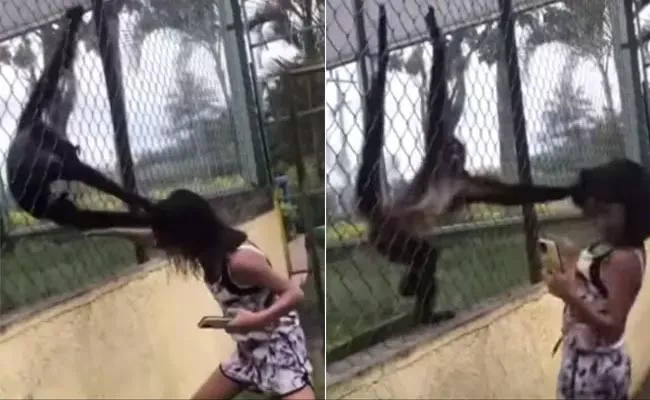 Monkey Pulls Girl Hair Video Trending In Social Media - Sakshi