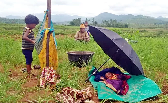 Tribal Mothers Farming With Child Araku Valley - Sakshi