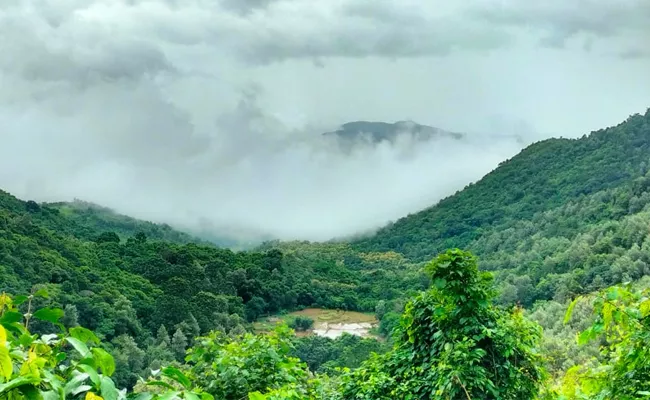 Photo Feature Visakhapatnam Paderu Highway Beautiful Monsoon Scenery - Sakshi