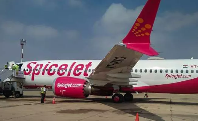 DGCA Ordered Spicejet To Operate With Just 50 Per Cent Flights - Sakshi