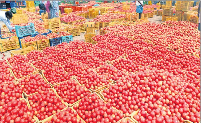 Tomato prices drop to Rs 10 per kg In Annamayya District - Sakshi