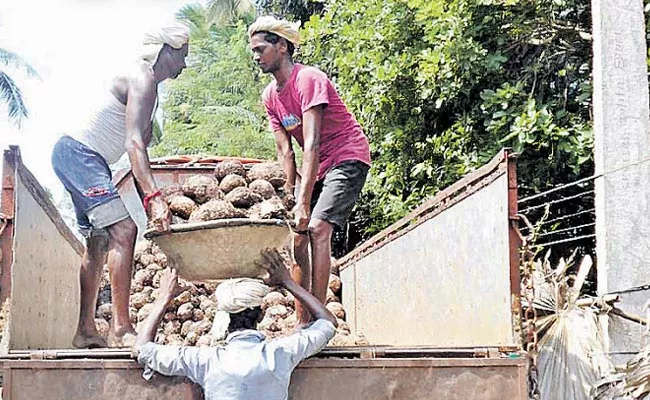 Farmers Are Benefiting From Kanda Cultivation - Sakshi