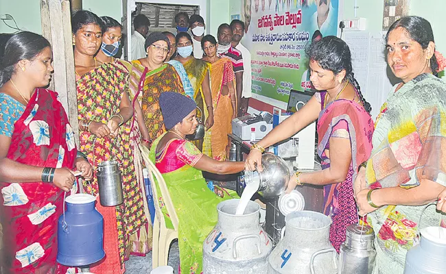 Jagananna Pala Velluva All Over Andhra Pradesh For Dairy farmers - Sakshi