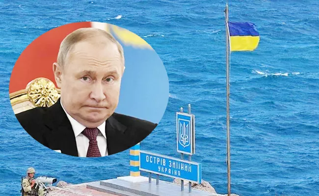 Ukraine Crisis: Snake Island Curse reason Russia Back Forces - Sakshi