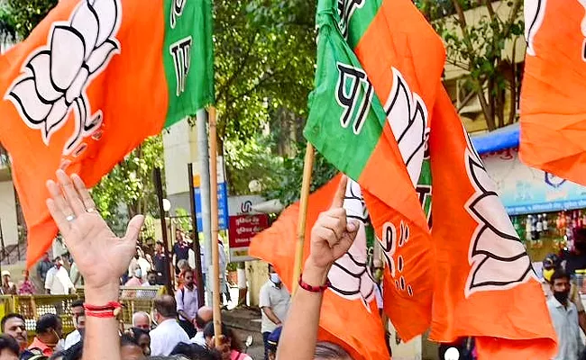 BJP Big Plan Win Majority MP Seats Telangana 2024 Lok Sabha Elections - Sakshi