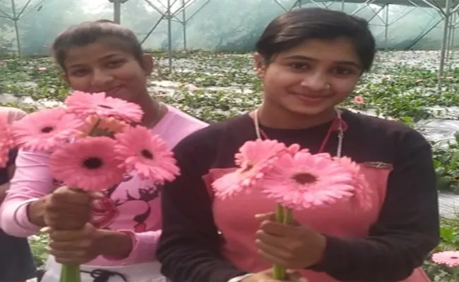 Jamshedpur Sisters Priyanka Bhagat And Preeti Bhagat Have Created A Unique Model For Gerbera Flower Cultivation - Sakshi