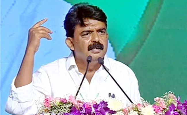 Former Minister Perni Nani Powerful Speech YSRCP Plenary 2022 - Sakshi