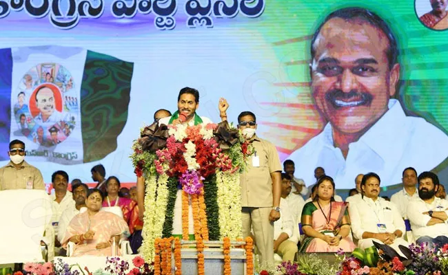 DVG Shankar Rao Write on YSR Congress Party Plenary - Sakshi