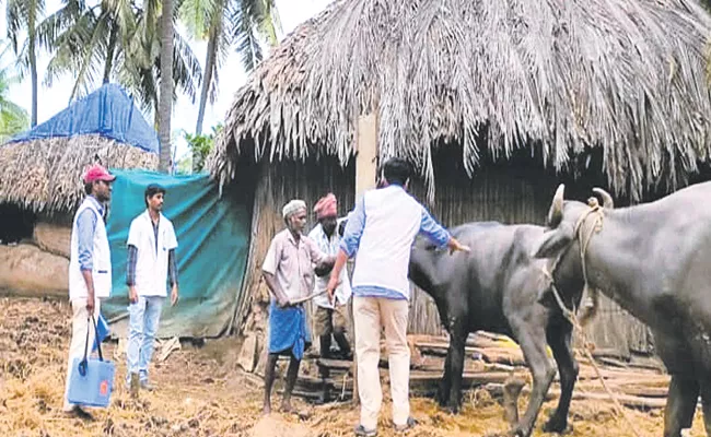 AP Govt saved 32 thousand livestock lives in Godavari floods - Sakshi