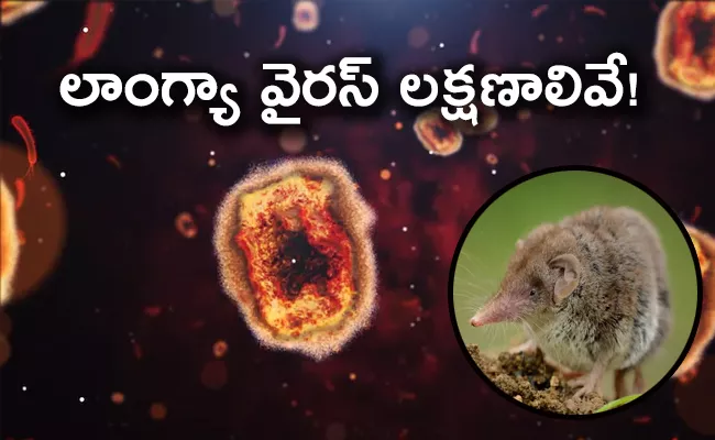 What is Langya Virus Found in China Know the symptoms About This New Virus - Sakshi