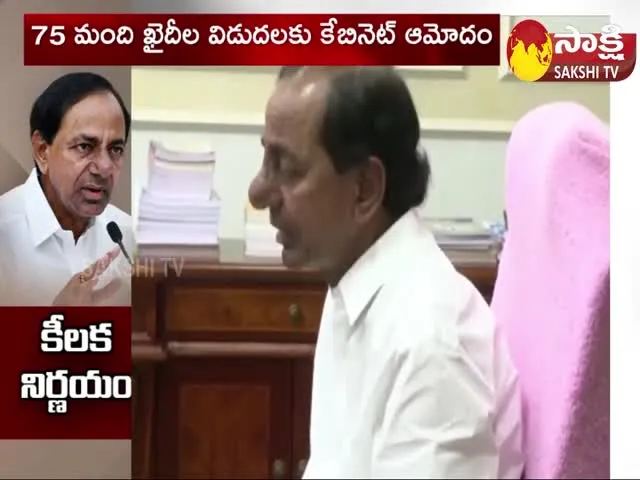 Telangana CM KCR Key Decisions In Cabinet Meet 