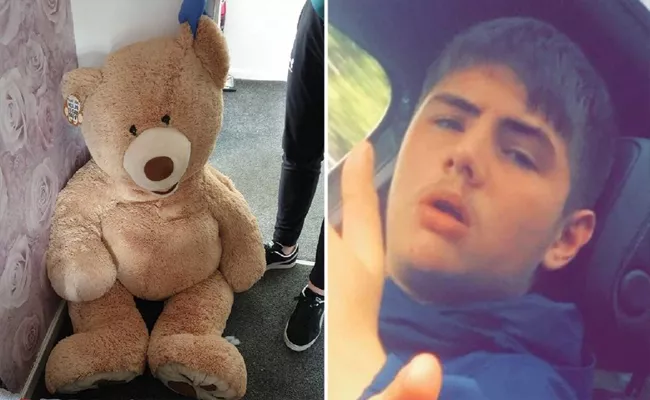 UK: Police Catch Car Thief Hiding Inside Of a Large Stuffed Teddy Bear - Sakshi