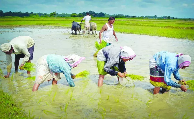 Cabinet clears interest rebate of 1. 5percent on short-term farm loans - Sakshi