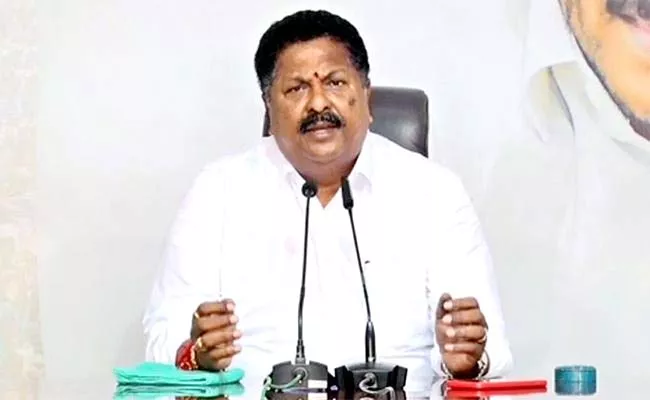 AP Minister Karumuri Nageswara Rao Criticizes TDP Fake Certificate - Sakshi