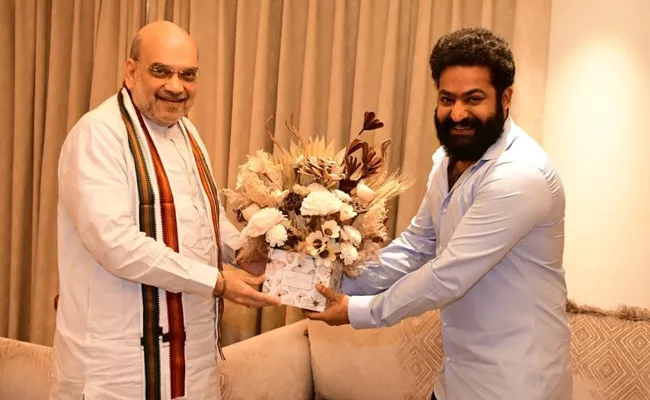 union home minister amit shah meet jr ntr - Sakshi