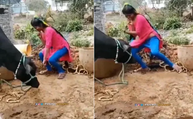 Viral Video: Girl Dances In Front Of Buffalo As It Eats, See What Happens Next - Sakshi