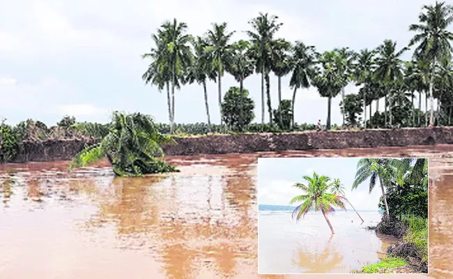 Lands Eroded On Large Scale Flood Surge Of Godavari - Sakshi