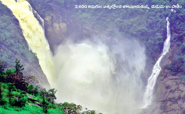 Waterfalls: Tragedies In Tourist Areas Visakha District - Sakshi