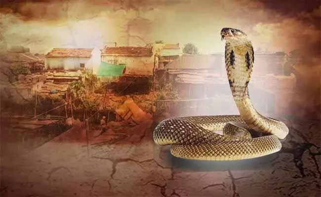 11 people were bitten by snakes from past 25 years - Sakshi