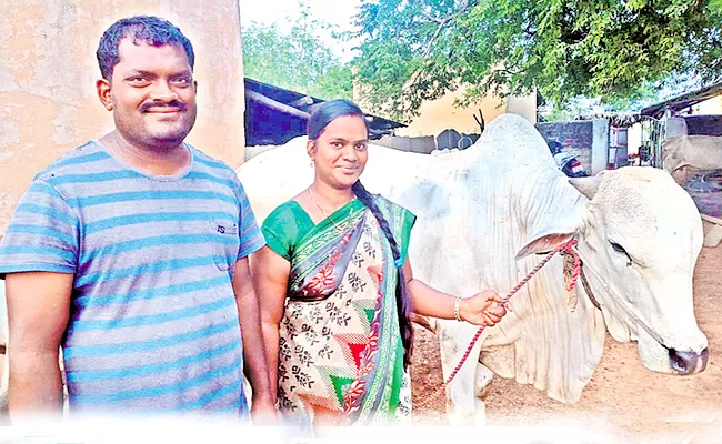 A Pair Of Soft Engineer Turn Natural Farming - Sakshi