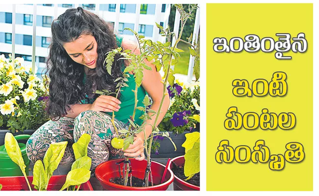 world kitchen garden day special story sakshi fun day - Sakshi