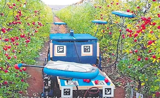 Sagubadi: Innovative Flying Robot Pluck Fruits Helpful For Farmers - Sakshi