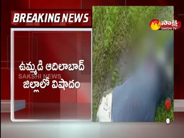 3 Killed In Lightning Strikes In Adilabad District