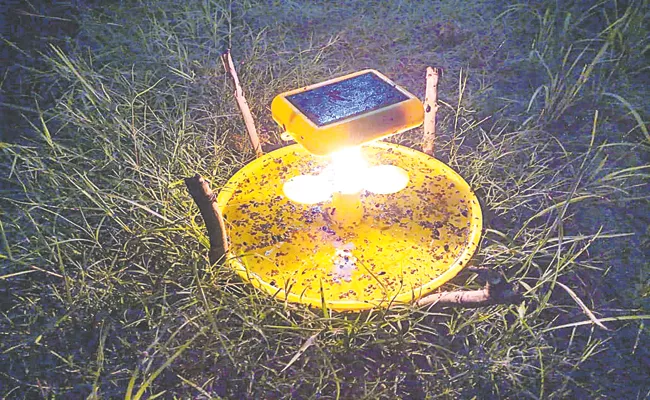 Check For Crop Pests With Lamp Baits - Sakshi