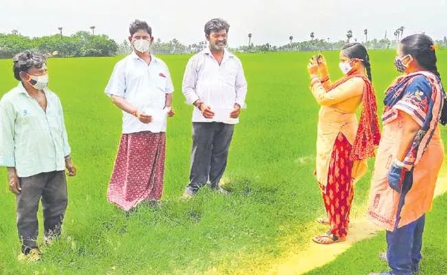 Andhra Pradesh Is First In Real Time Crop Management - Sakshi