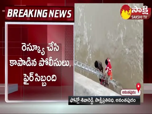 Man Stuck In Tadipatri Penna River