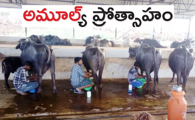 Kurnool District: Automatic Milk Collection Unit, Amul, Bulk Milk Cooling Units - Sakshi