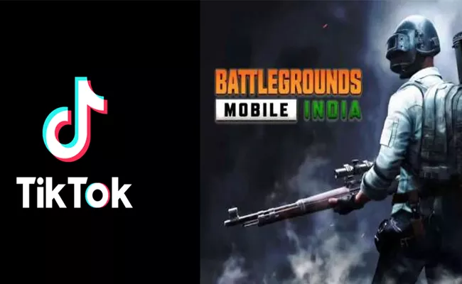 Tiktok Will Return To Indi As Per Skyesports Ceo Shiva Nandy - Sakshi