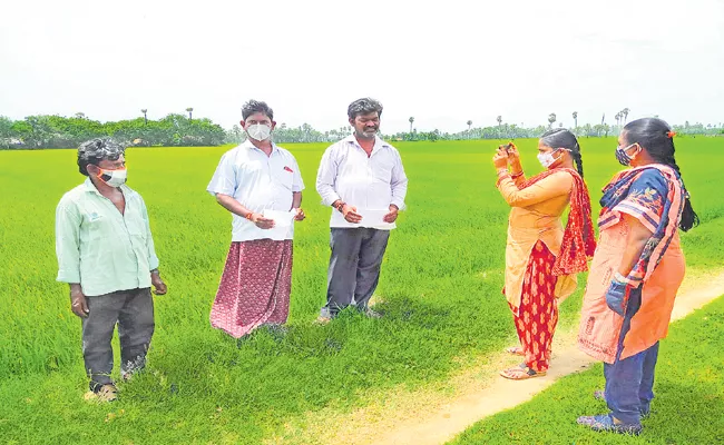 E Crop Special app for crop registration in Kharif - Sakshi