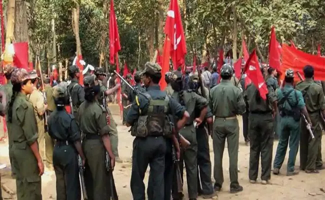 Maoist party Is Anger On Government Over Death of Pandu Naroti - Sakshi