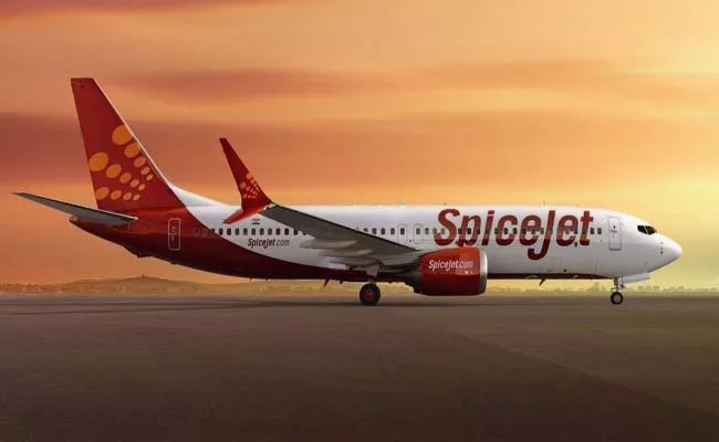 SpiceJet Delhi Nashik flight returns midway due to autopilot snag - Sakshi